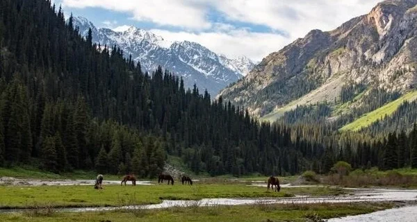 Trekking in Kyrgyzstan - Karakol Gorge- Nature's Paradise