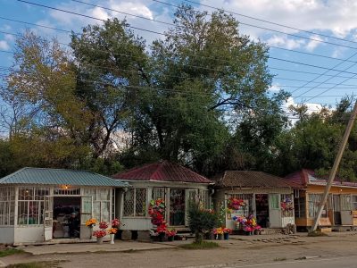 Flower Stores